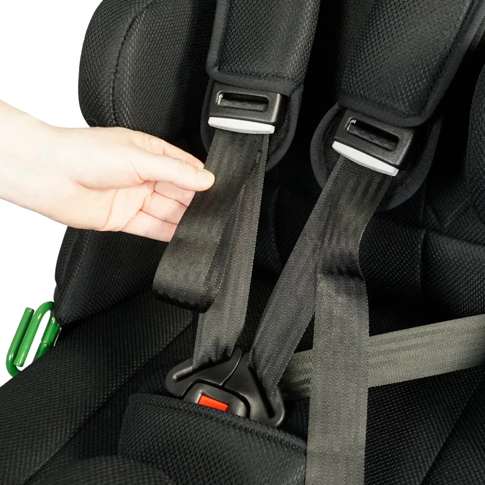 5 Point Harness